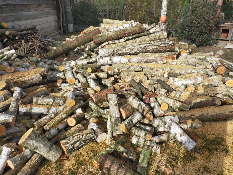Drewno opałowe kominkowe