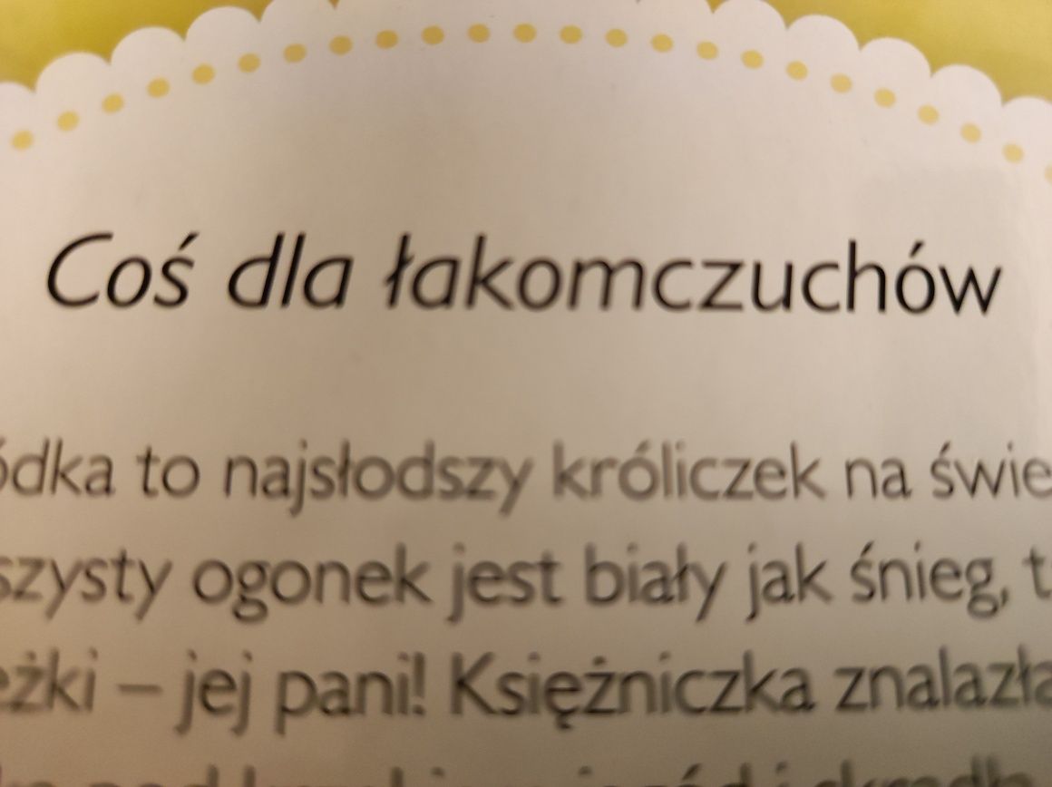 Księżniczki - książka z puzzlami. Mali ulubieńcy księżniczek.