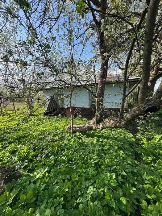 Будинок Бахматівці на ділянці 29 соток