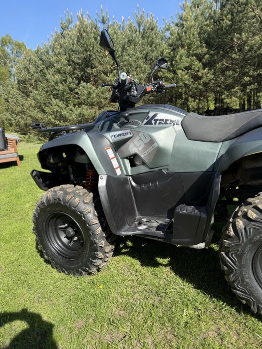Quad ACCESS Forest 650