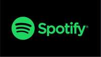 Spotify premium duo 1 місяць