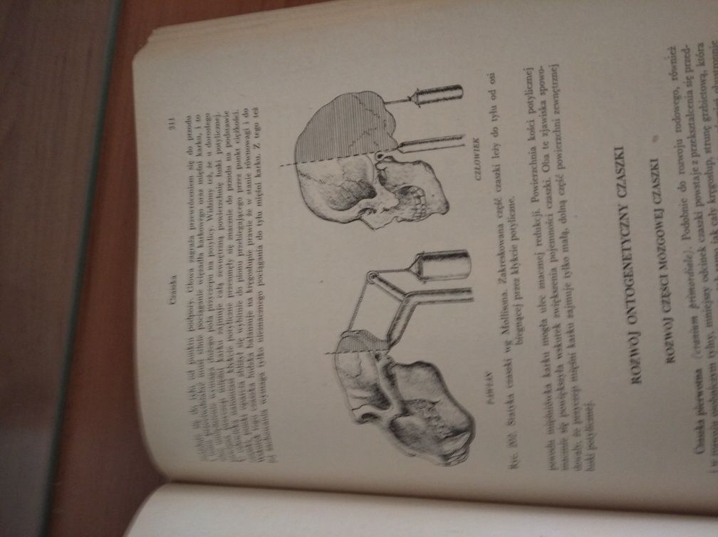 Książka anatomia człowieka