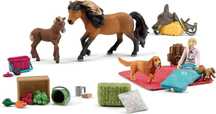 schleich 98982 HORSE CLUB zestaw z figurkami 24 szt