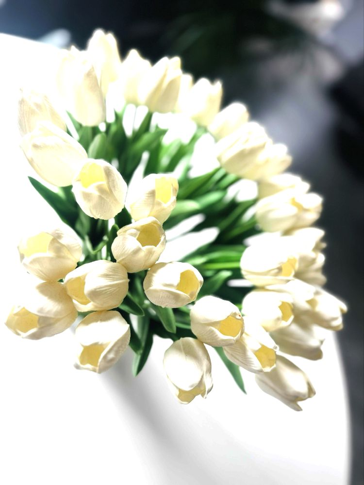 Tulipany sztuczne jak żywe jak nowe białe 40 sztuk