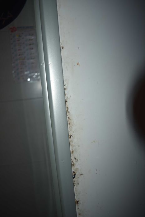 Frigorífico CANDY A+