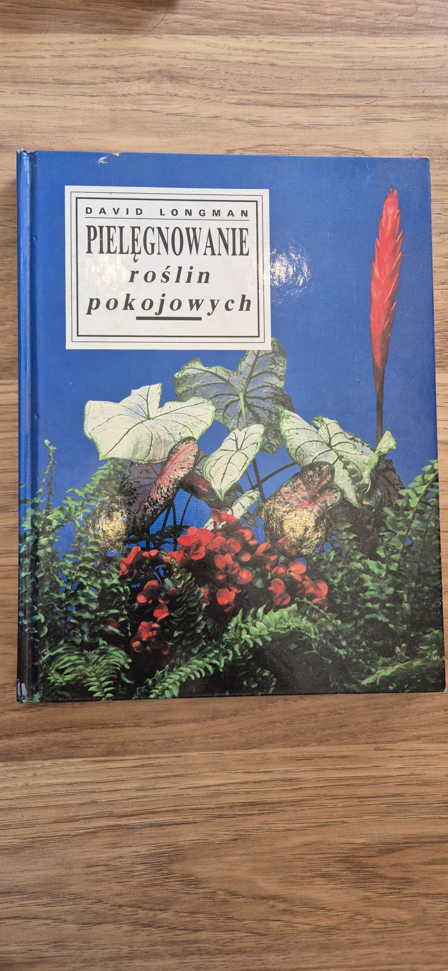 Pielęgnowanie roślin pokojowych Longman