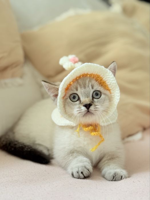 Хлопчик Манчкин