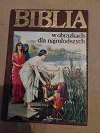 Biblia (w obrazkach dla najmłodszych) Kenneth N. Taylor