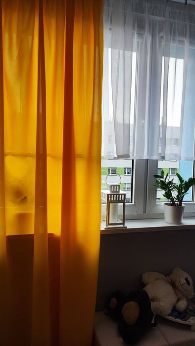 Zasłony żółte /musztardowe 2 szt