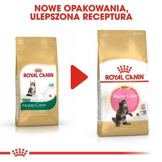 Karma dla kociąt Maine Coon, kotek w ciąży/karmiących Royal Canin 400g