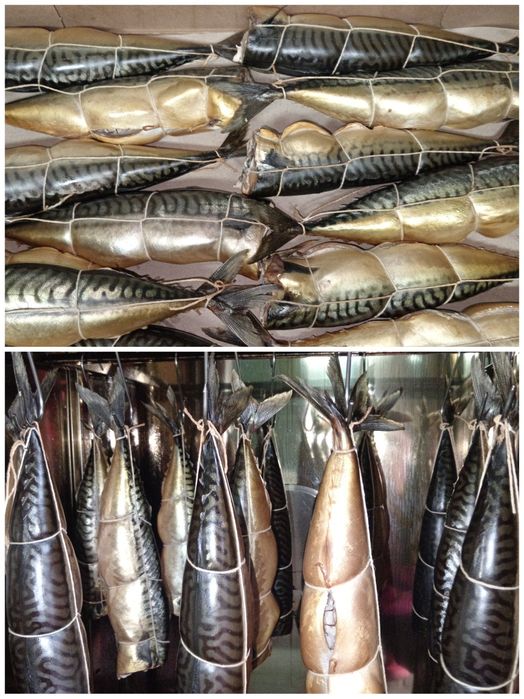 Риба Власного виробництва