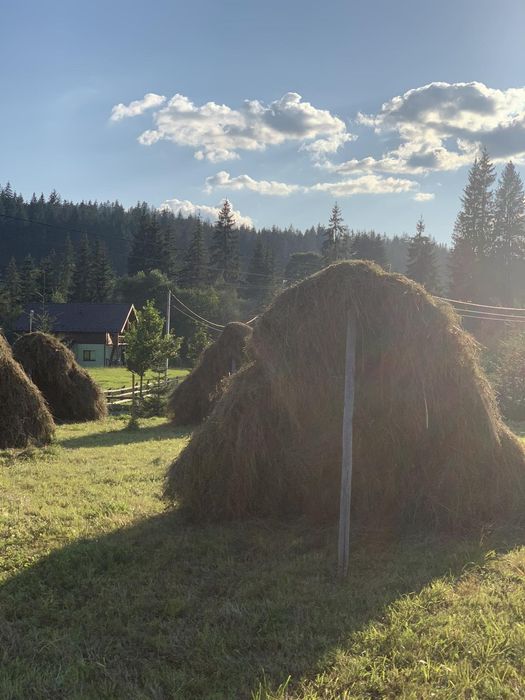 Котедж "Карпатська ідилія" Ворохта .