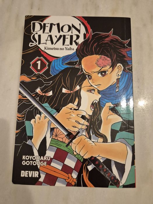 Lote 2 livros Demon Slayer