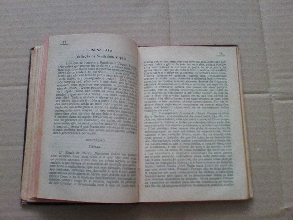 Mês de Maria . Padre  Debussi