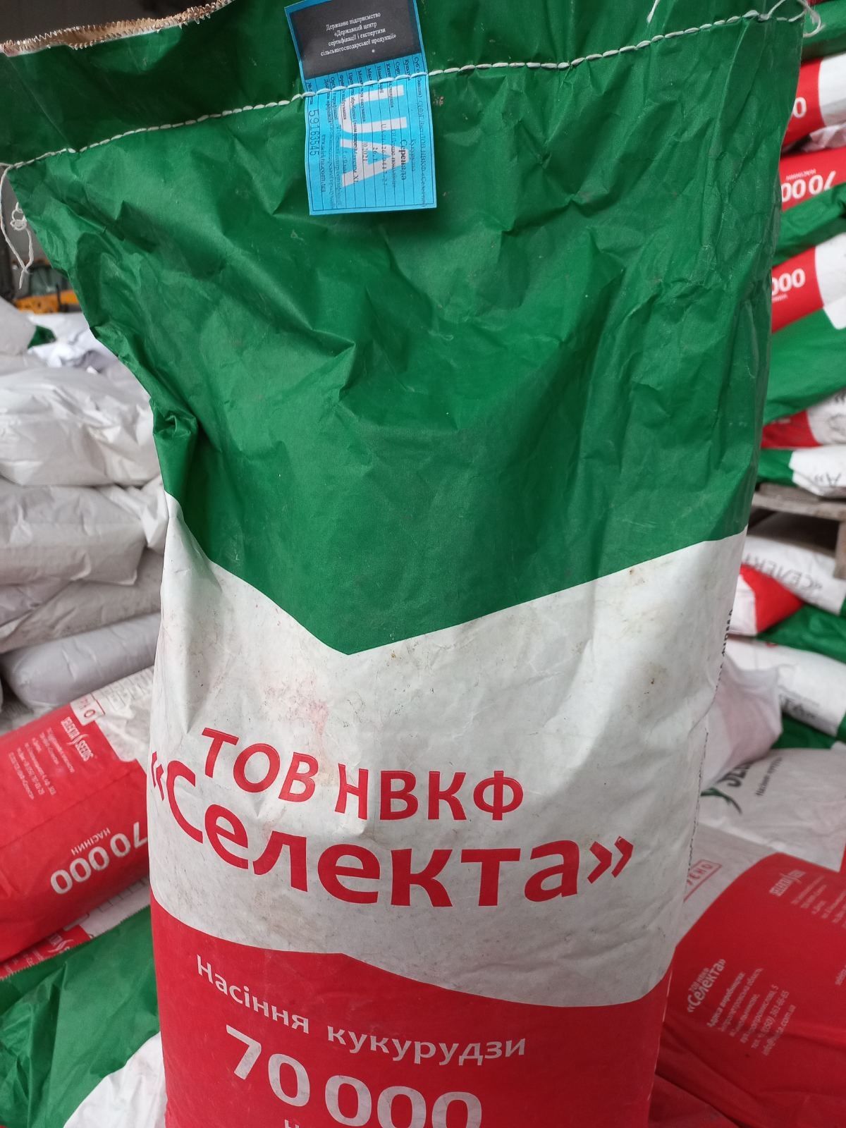 Продам кукурудзу Селекта.