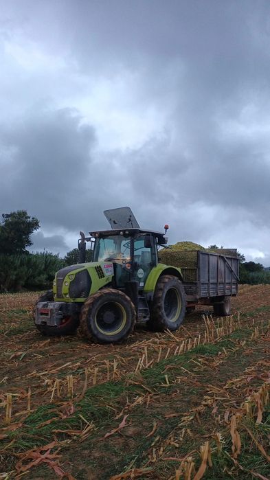 Vendo Claas arion 530