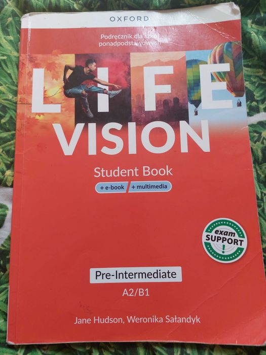 Ksiązka life vision