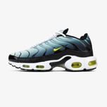 Мужские кроссовки Nike Air Max Plus 'Bright Cactus' 41-45