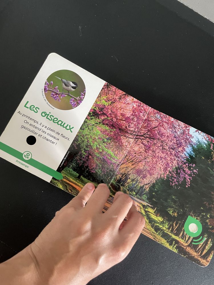 livro Estações do Ano com sons