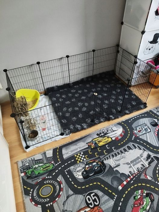 Nowy wybieg dla królika modułowy klatka dla szczeniaka świnki morskiej