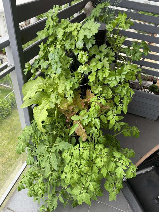 Wieża hydroponiczna – biała, 3D druk, 6 pięter (30 stanowisk)