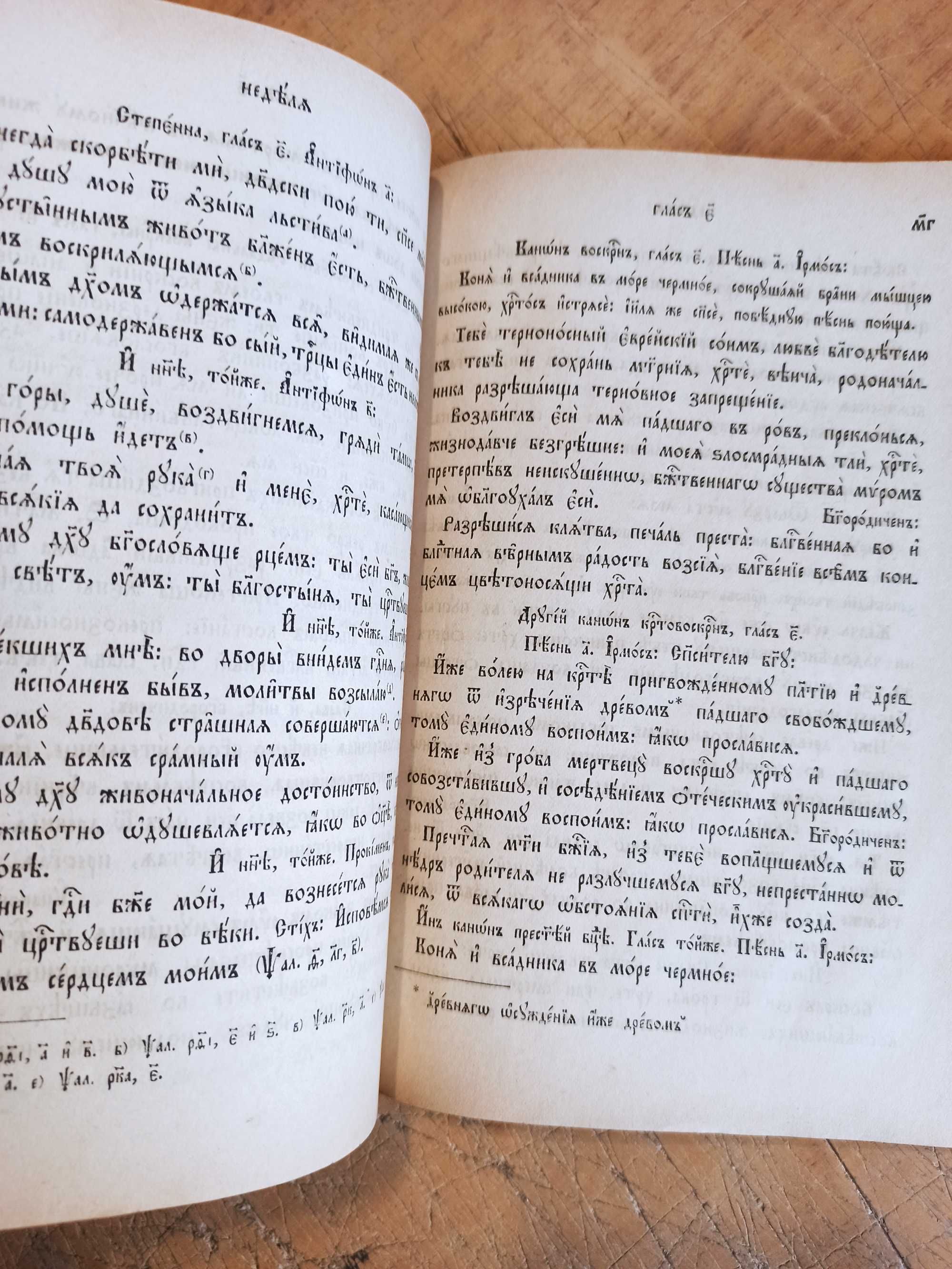 Октоих, Сиреч Осмогласник учебный (1891 г.)