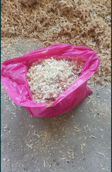 Grube Trociny dla Gryzoni i nie tylko