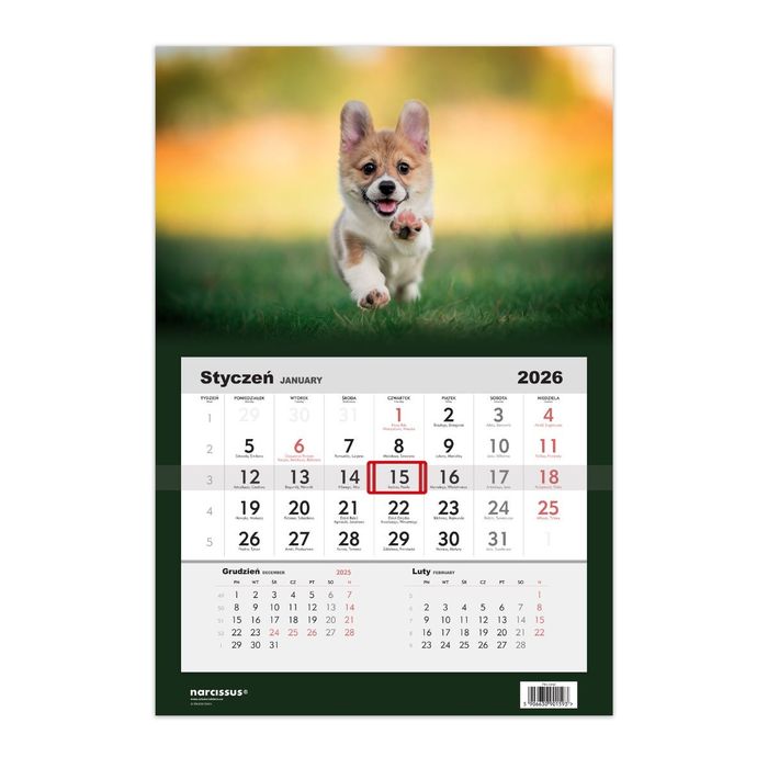 Kalendarz 2026 Jednodzielny Pies Corgi Helma
