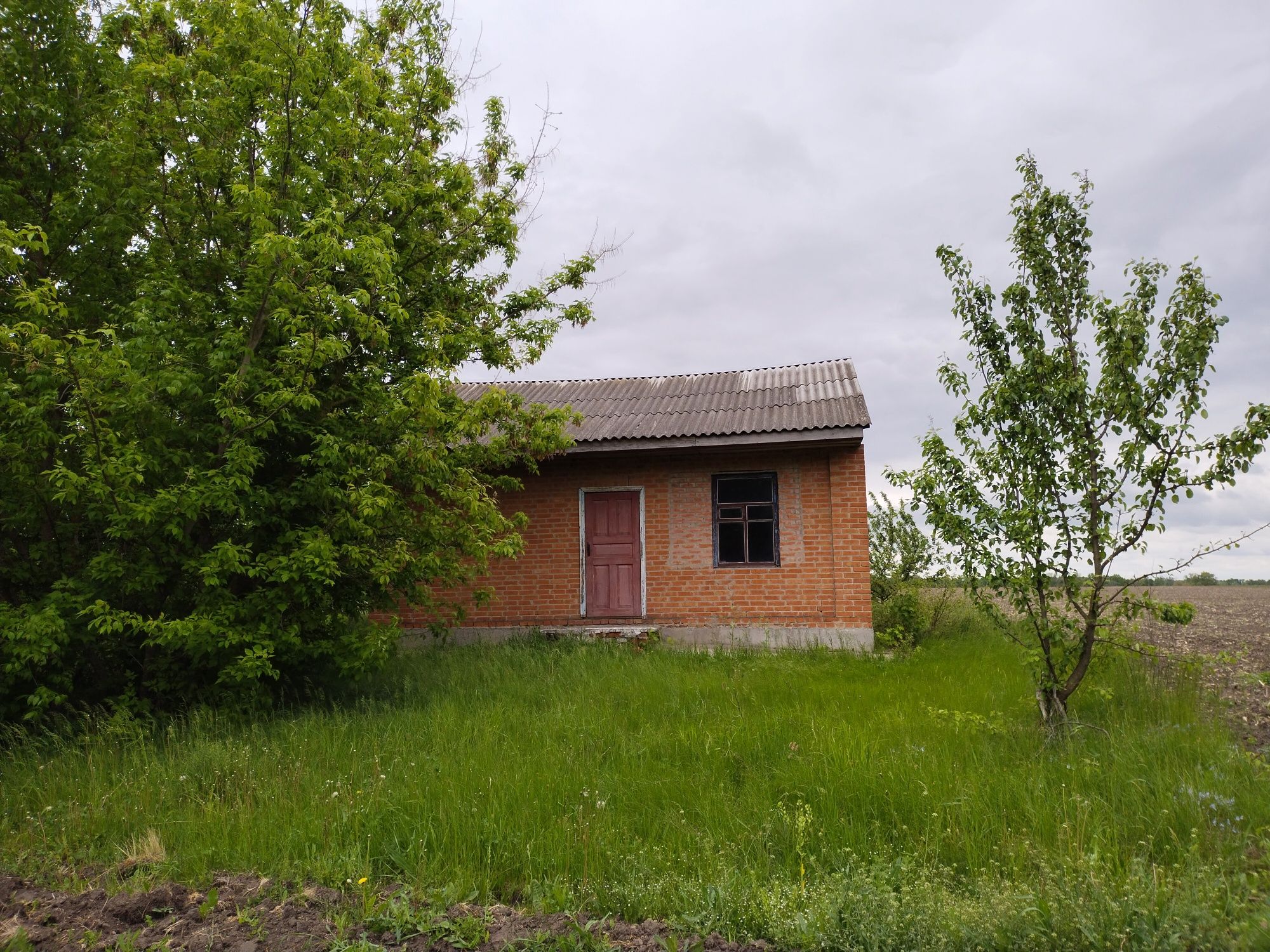 Продам будинок з земельною ділянкою