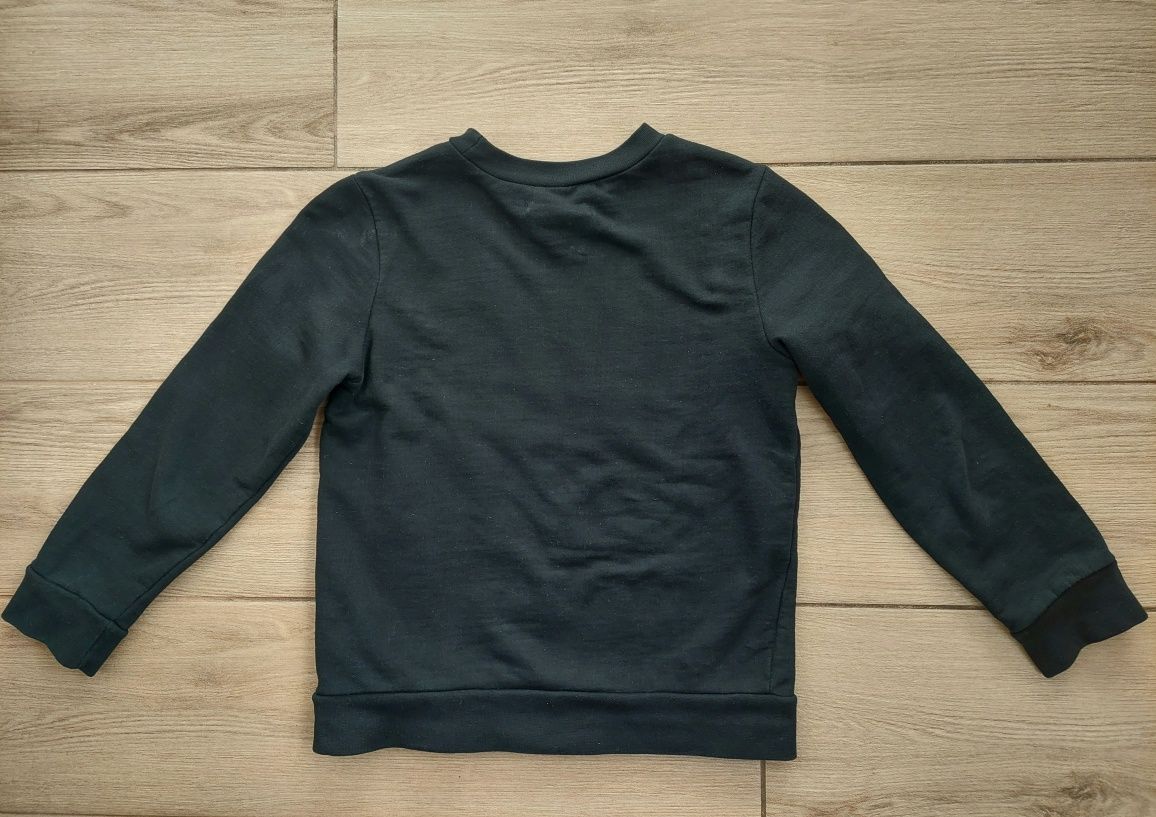 Bluza chłopięca Sinsay Harry Potter 116