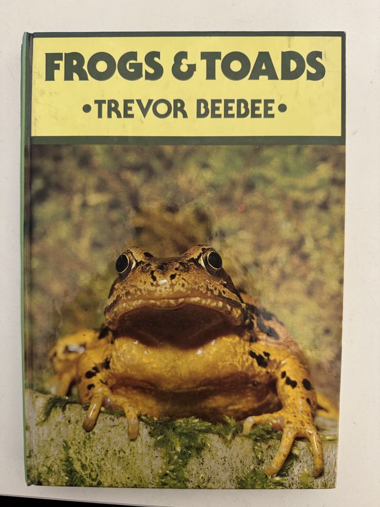 frogs & toads, ksiazka