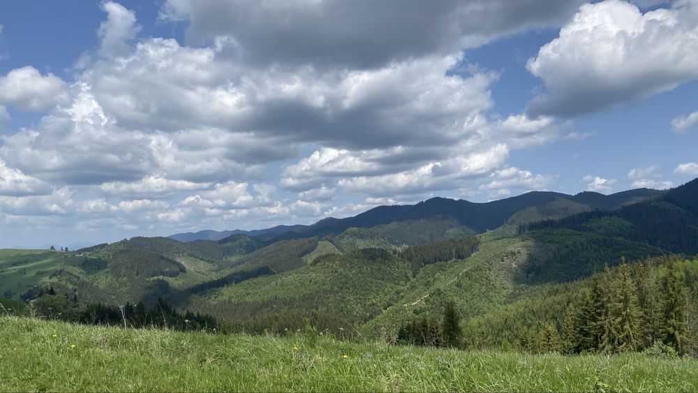 Будинок в горах з великою земельною ділянкою