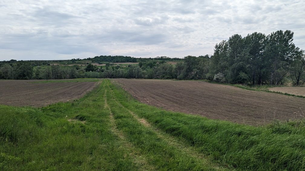 Земельна ділянка Годилів, Чернівці