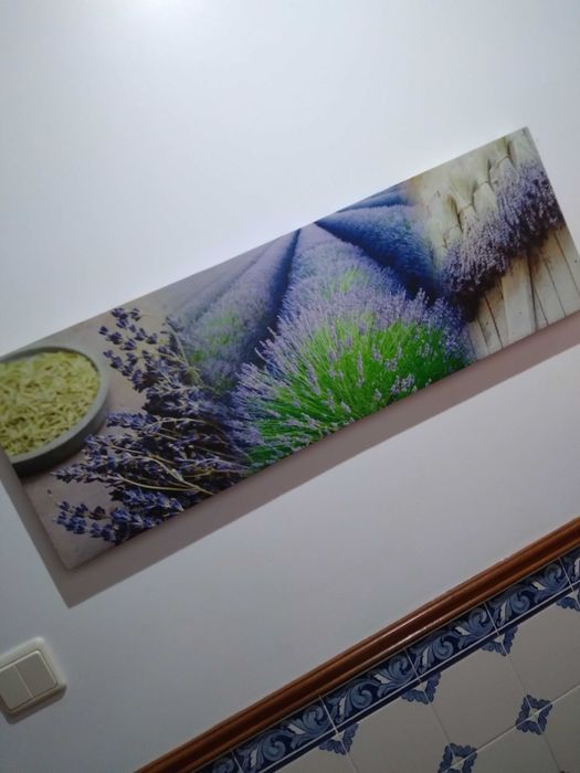 Quadros Natureza 3 peças,simples,agradaveis