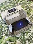 Playstation Portal