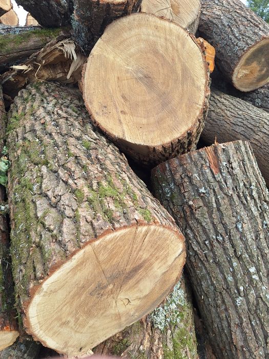 Продажа дуб,ясен кругляк 1 метр
