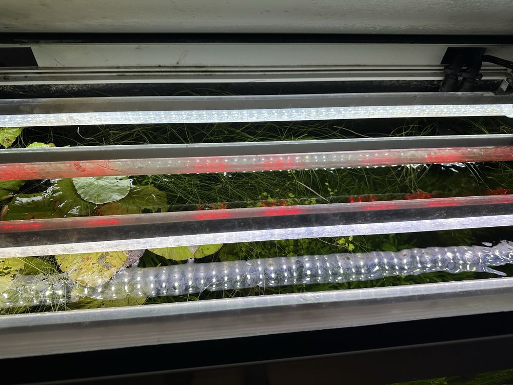 Akwarium optiwhite 250 l