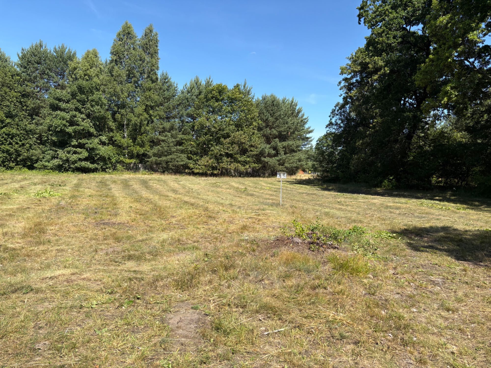 Działka budowlana 6500 m2 Arciechów 130 zł/m2