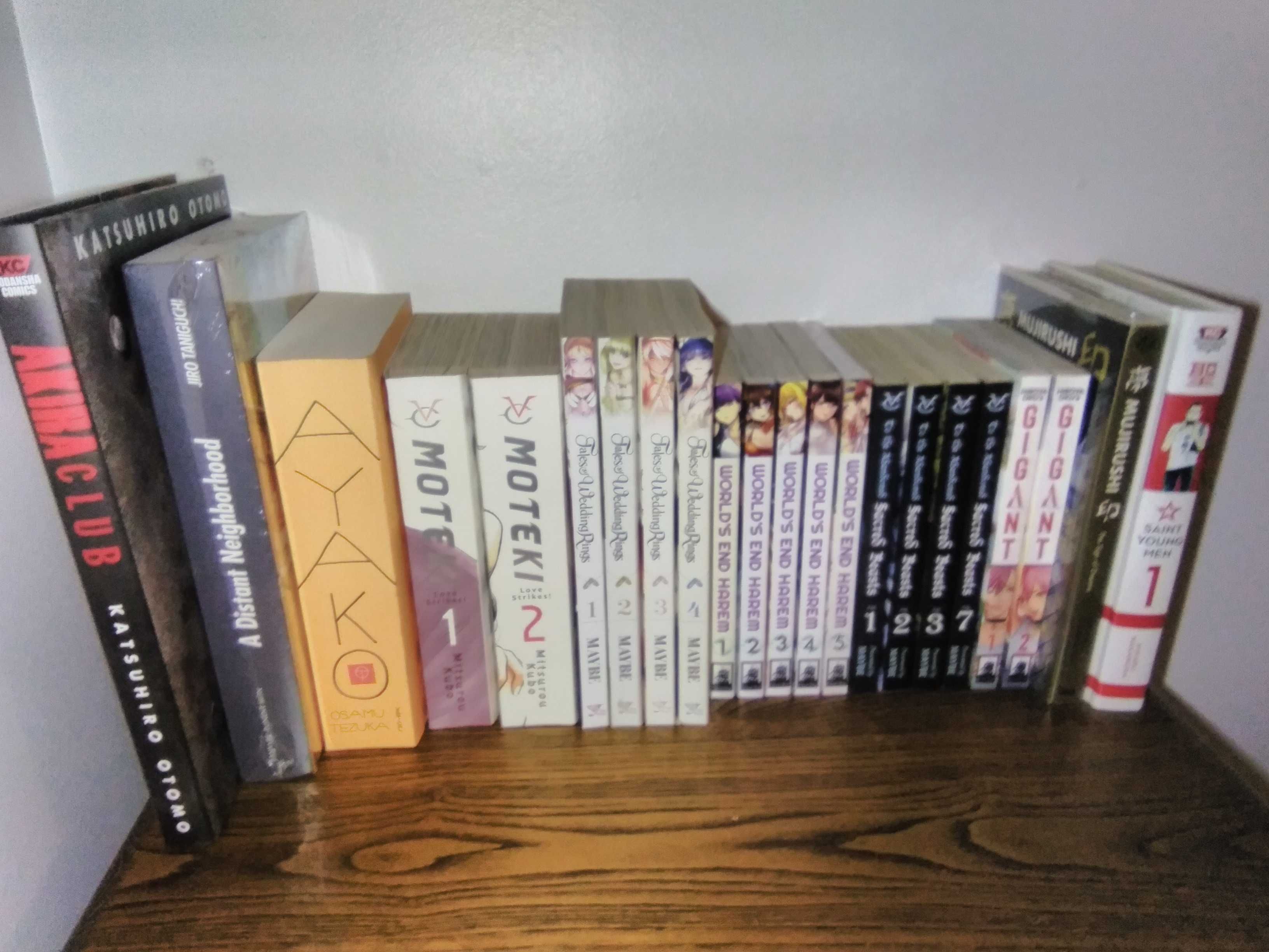 vários mangas inglês