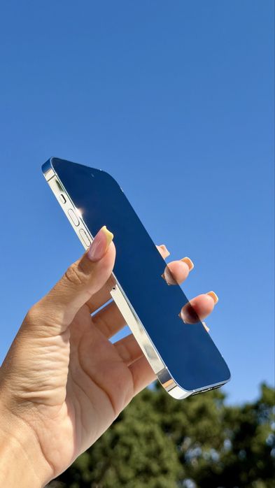 iPhone 14 Pro Max Prateado 256 GB + Acessórios