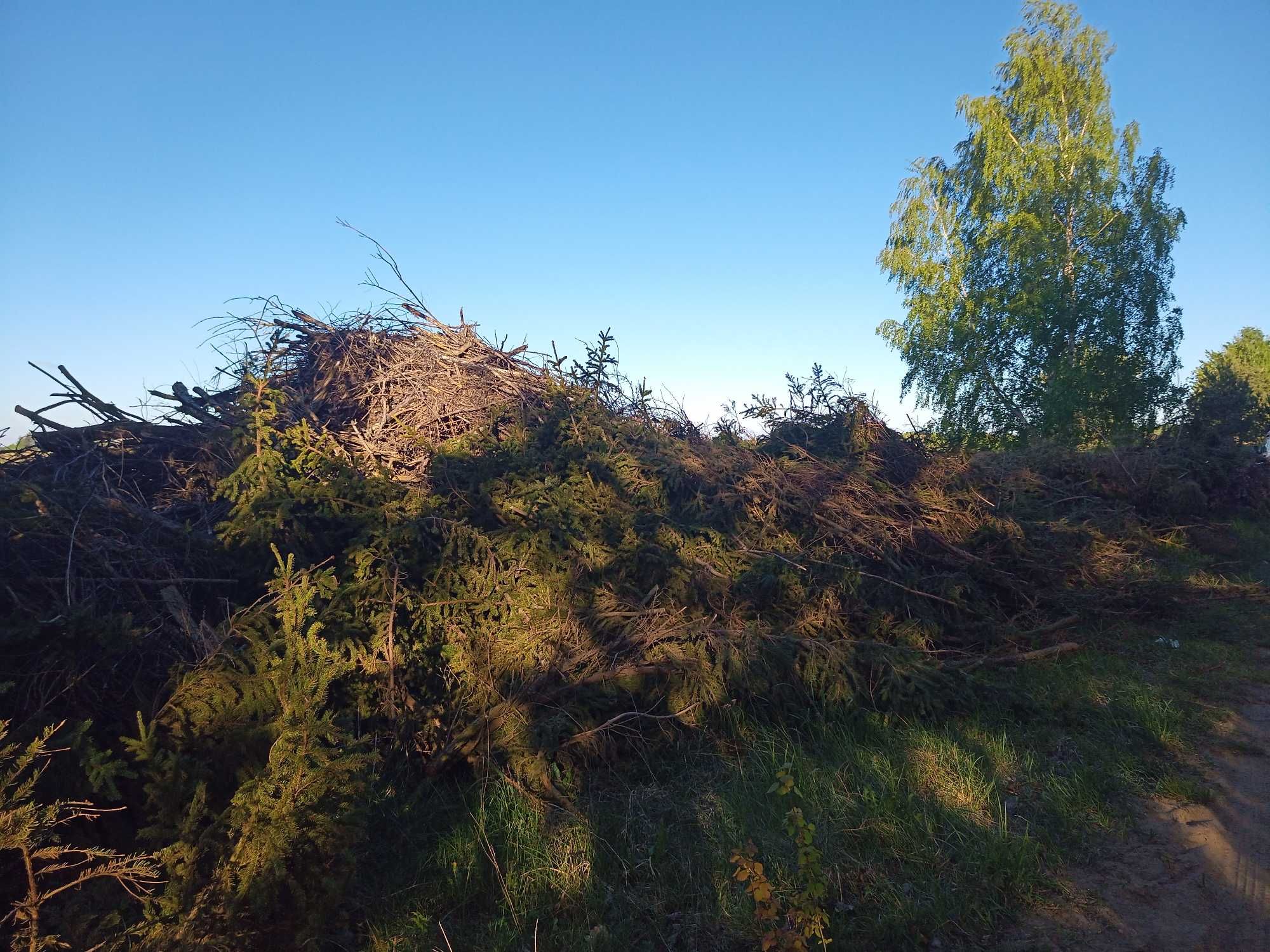 gałęzię pod rębak