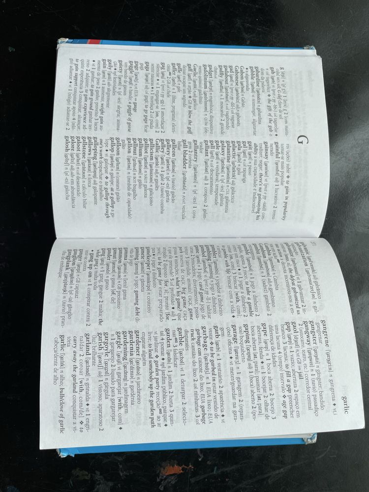 Dicionário inglês português