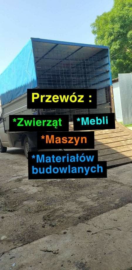 Zwierzęta zwierzęta