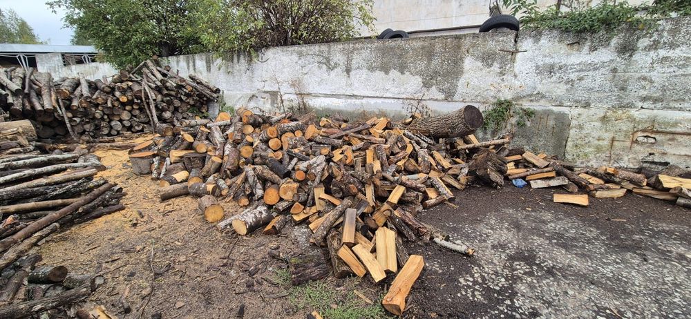 Дрова твердих порід