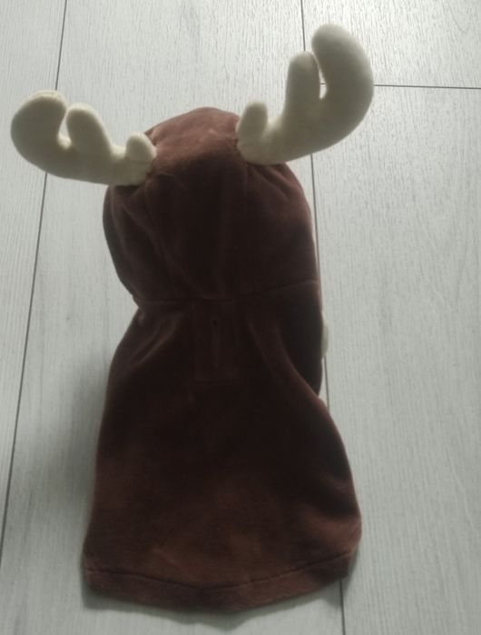 Одежда для собак