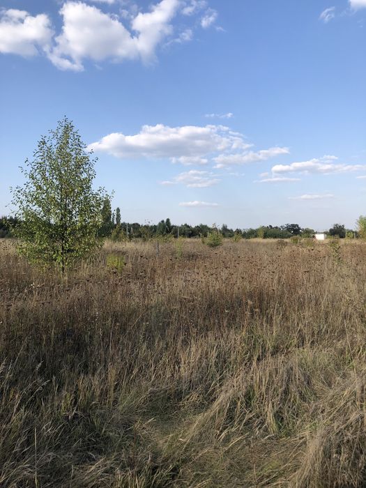 Продам участо в с Нижча Дубечня