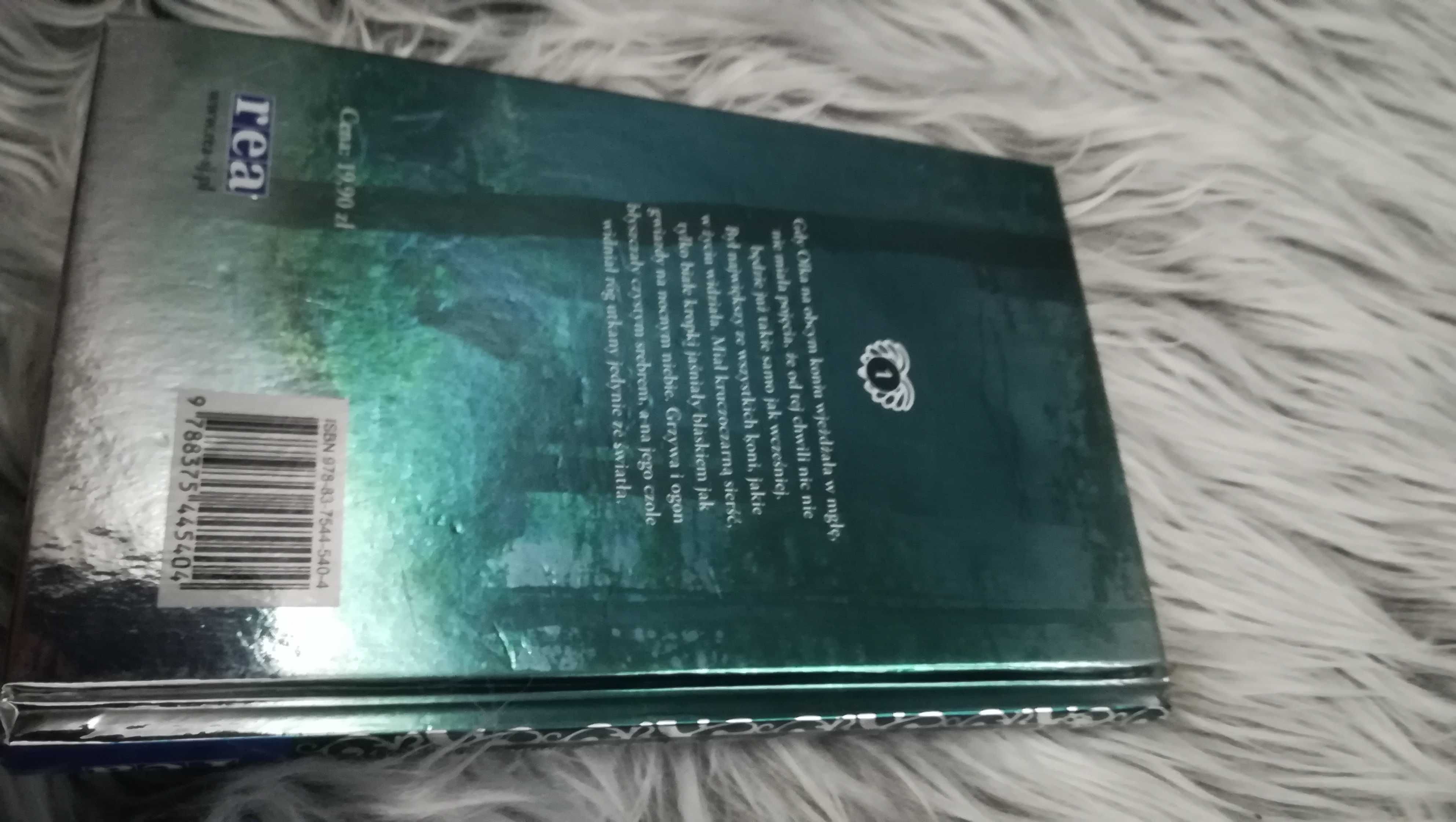 Przez most we mgle Astrid Vollenbruch książka