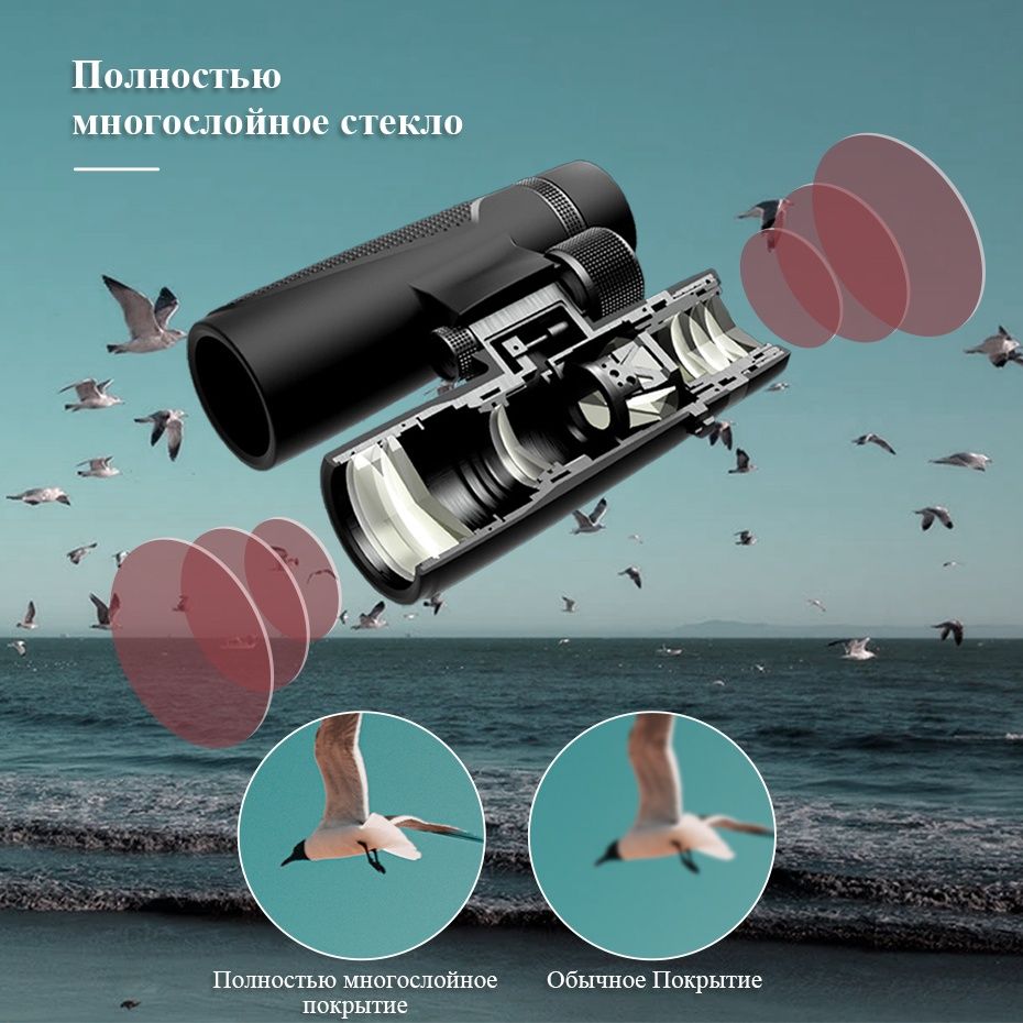 ‼️Бінокль SVBONY SV202 8х32 та 10х50 ED Glass BAK4, нові