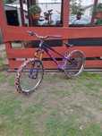 Marin alcatraz 2025 L