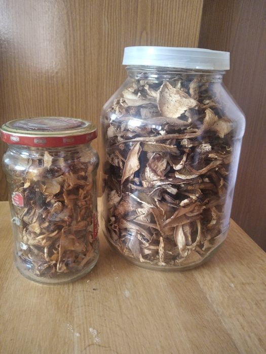 Продажа сушених білих грибів та лисичок.